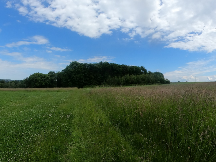 Curiosidades sobre nuestro trabajo en Alemania. Medidas ambientales.